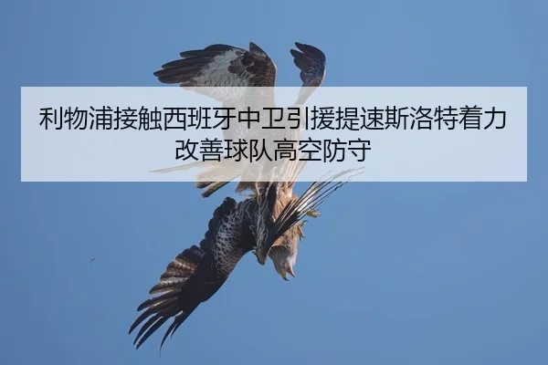 利物浦接触西班牙中卫引援提速斯洛特着力改善球队高空防守